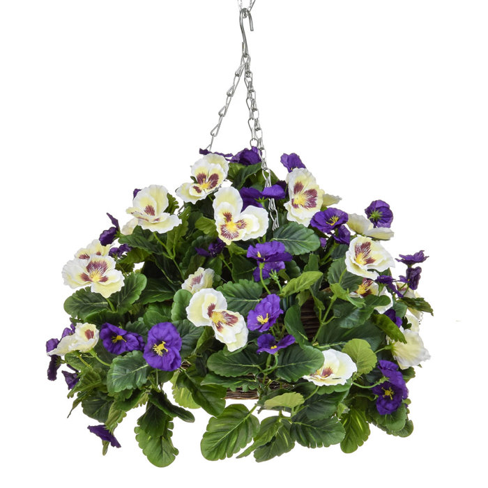 The Seasonal Aisle Pansy Hanging Basket Wayfair.co.uk